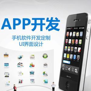 武汉APP定制开发与微信小程序设计 打造您的移动数字化解决方案